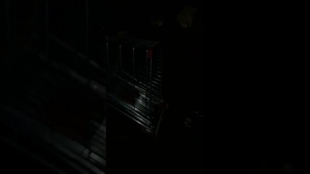 Скинули тележку с моста смотреть онлайн