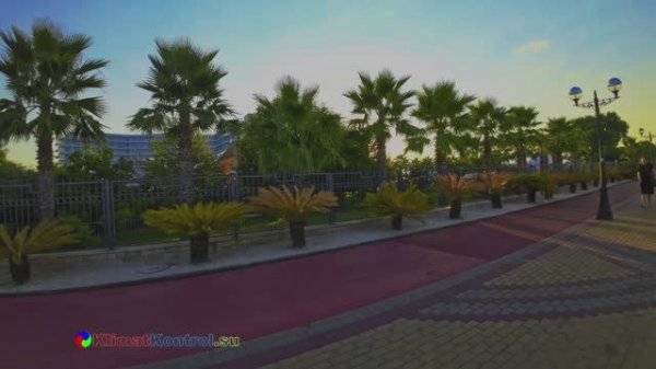 Воспоминания о лете