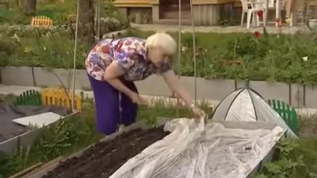 Природное земледелие Огород Посадка моркови без хлопот СОВЕТЫ! смотреть онлайн