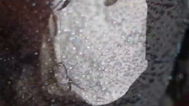 Новые сумки в BeBeauty.ua смотреть онлайн