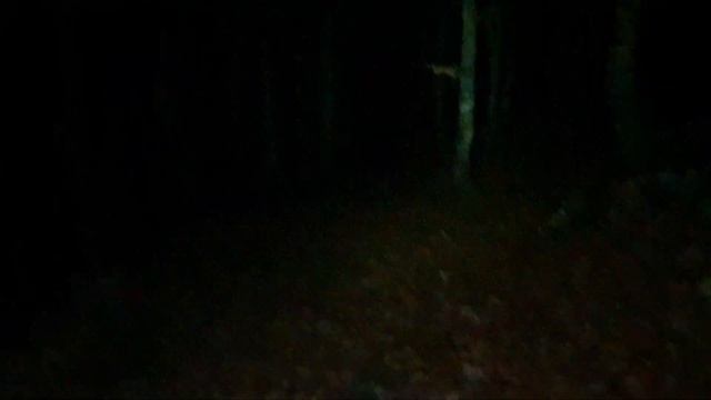 Fenix E35 V3.0 Beamshotaufnahmen Mit 3000 Lumen