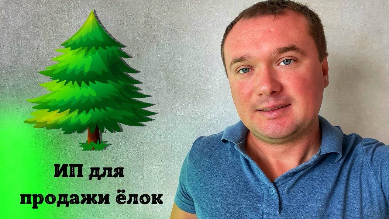 Регистратор ИП