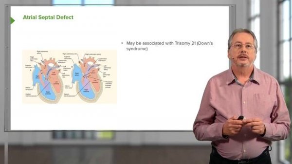 02. Blood Vessel and Heart Abnormalities