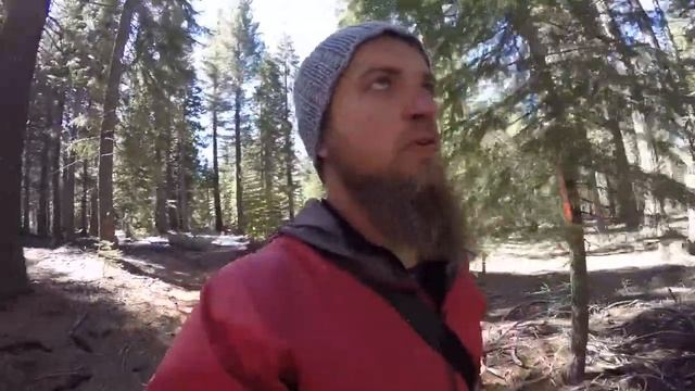 Автостопом по США(ч. 5.) - Трезвые приключения в Калифорнии. смотреть онлайн