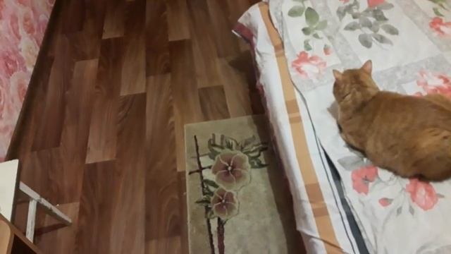 Пранк с зубной щёткой. Мой цвет настроения чёрный. смотреть онлайн
