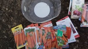 Садим морковь. Подготовка грядки