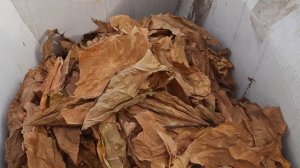 Переработка табака