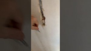 Защищаемся от соседа! Бюджетная звукоизоляция стен. #живигромче!