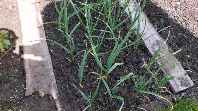 Влог. Дел вагон и маленькая тележка.Когда вязать !? смотреть онлайн