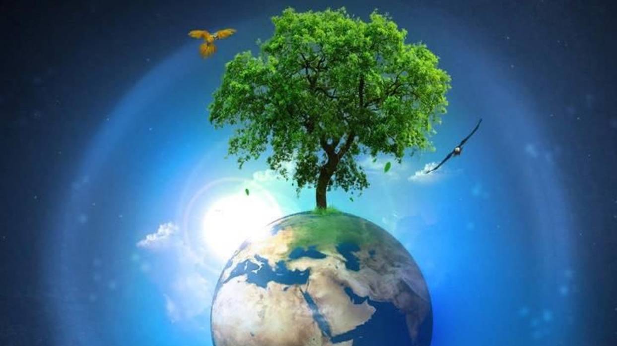 Уникальное Вселенское крещение Мира. 21.01.25. смотреть онлайн