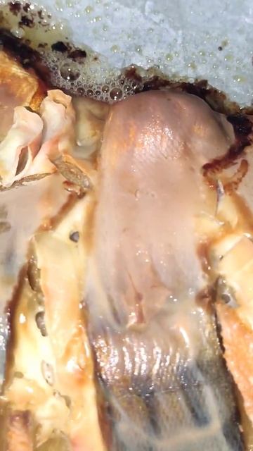 Скумбрия под сметанно -чесночным соусом .... очень вкусный рецепт приготовления смотреть онлайн