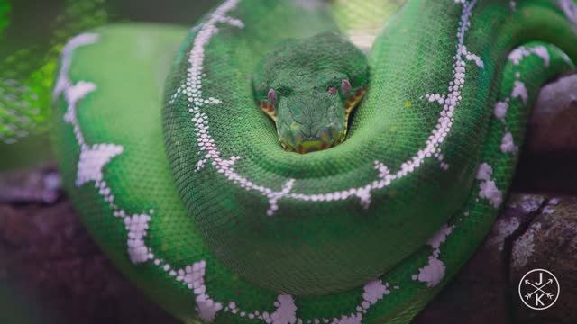 HDR (ULTRA HD) смотреть онлайн