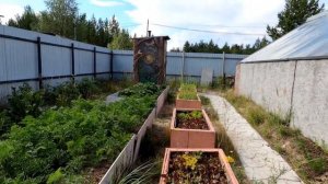 Выращивание урожая в мешках