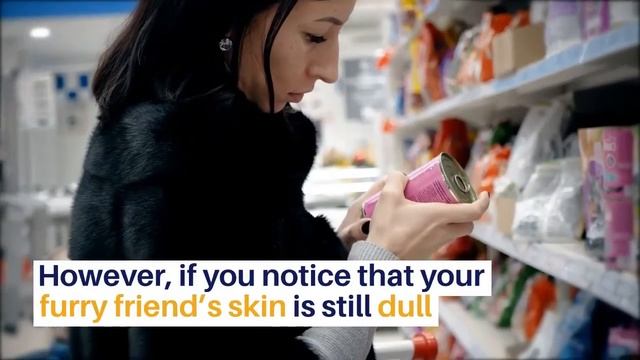How To Keep Your Dog's Skin Healthy? Feeding, Grooming & Healthcare Tips For Your Dog смотреть онлайн
