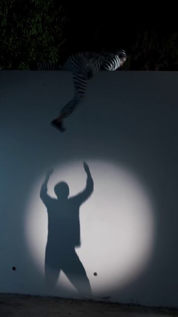 Он сбежит откуда угодно! смотреть онлайн