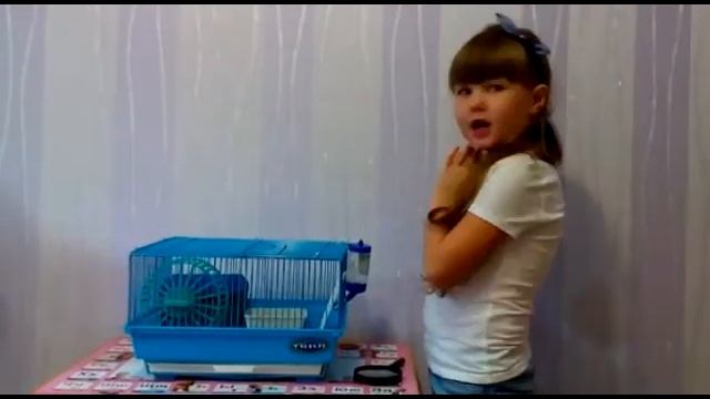 Vlog. Обзор: как ухаживать за хомяком смотреть онлайн
