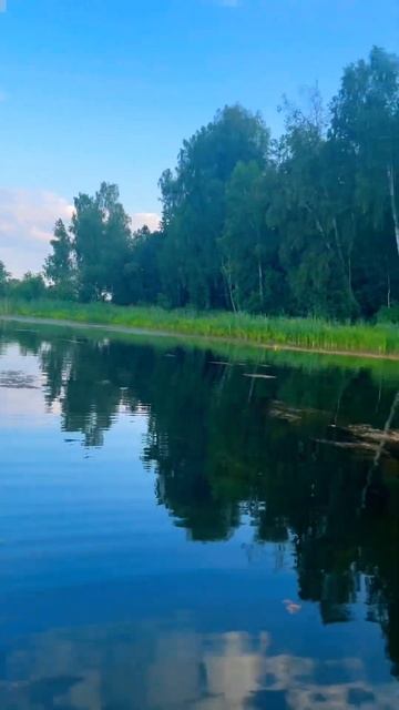 Ценить природу начинаешь только с возрастом ) #2024 #beautiful #озеро #russia #lake #природа