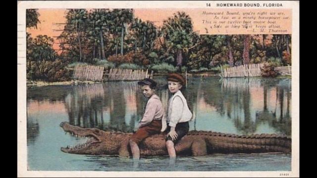 Alligator Crawl - Fess Williams's Royal Flush Orchestra смотреть онлайн