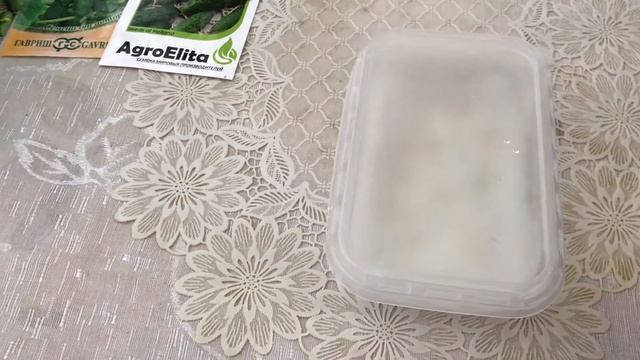 РАССАДА ОГУРЦОВ. БЫСТРЫЙ СПОСОБ ПРОРАЩИВАНИЯ СЕМЯН ОГУРЦОВ