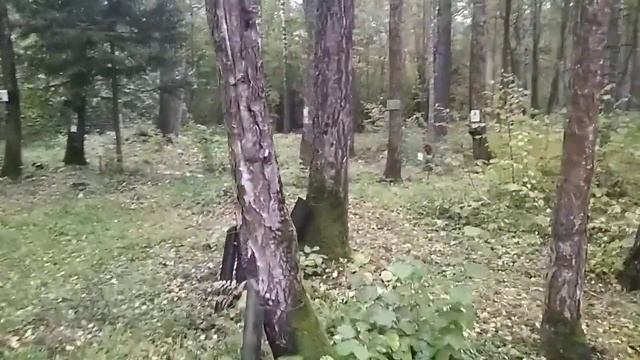 Коммунарка смотреть онлайн