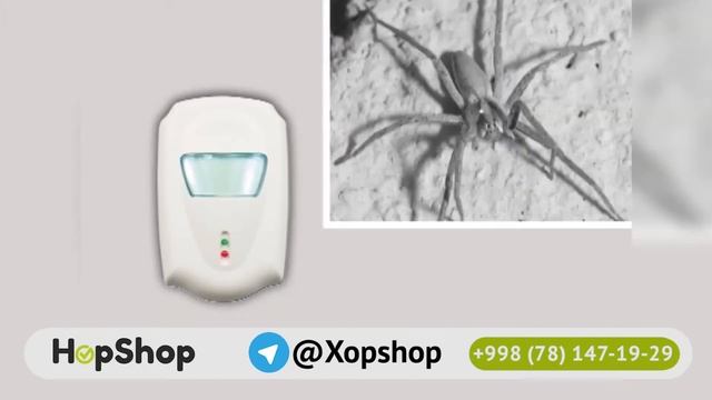Отпугиватель грызунов и насекомых Pest Repeller