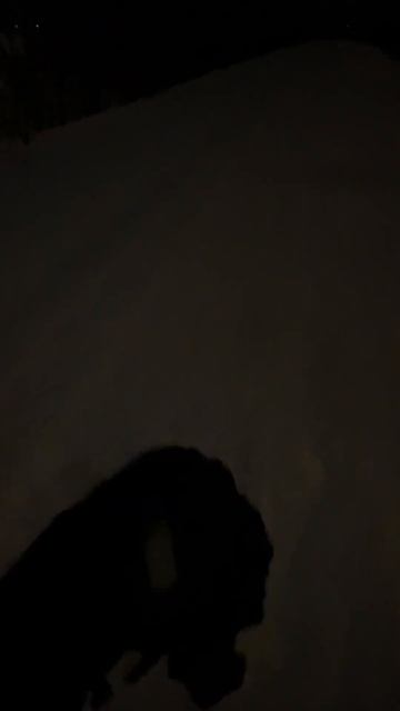 Я в Шоке от его яркости! Очень яркий налобный фонарь с Озон с функцией Powerbank и датчиком движени смотреть онлайн