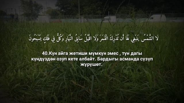 36 - сүрөө. Йа - Син сүрөөсү. Кыргызча (Мааниси). смотреть онлайн