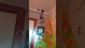 Проводка в панельном доме