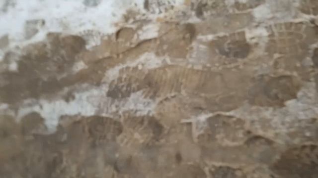 1000025520.mp4 смотреть онлайн