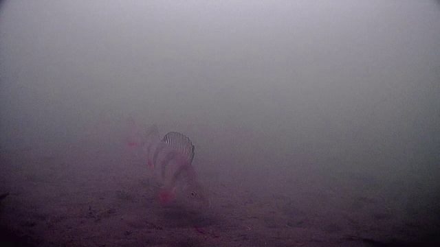 Одним словом глухозимье смотреть онлайн