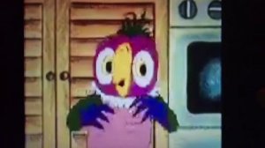 утро попугая кеши