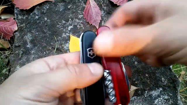 нож Victorinox Spartan 1.3603.T обзор. выбор первого ножа Victorinox
