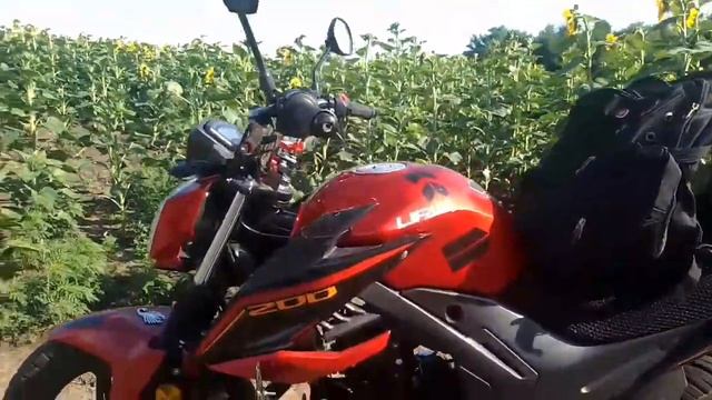 Lifan или Bajaj Boxer смотреть онлайн