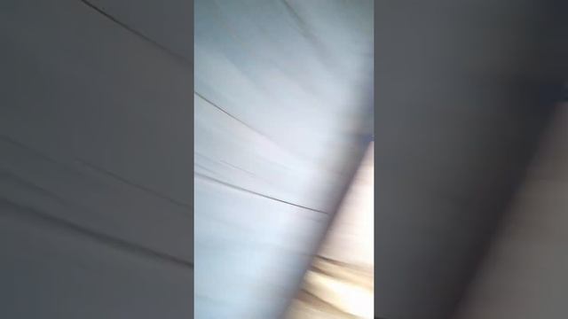 обзор лошадей🏇🐎 в следующим видео покажу ещё 2 конюшни смотреть онлайн