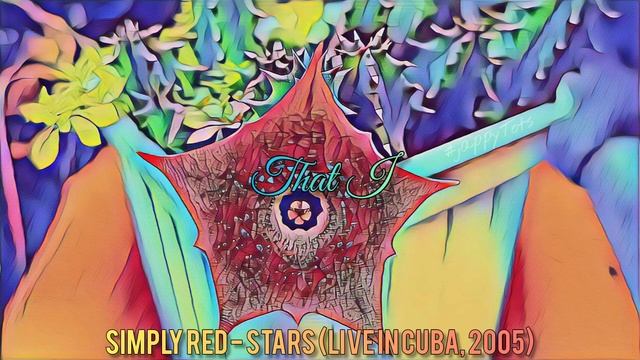 Simply Red - Stars [Live in Cuba, 2005] (lyric video) смотреть онлайн
