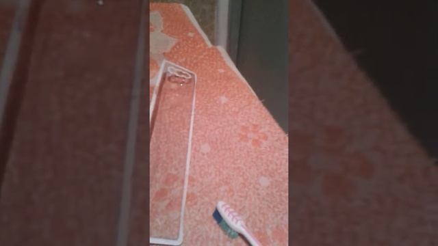 Обзор зубной щетки. смотреть онлайн