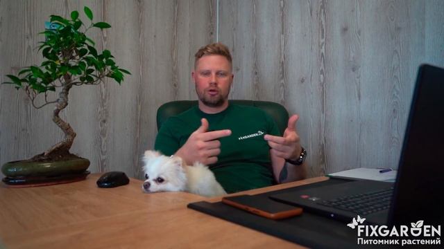 Все возможные способы заказа растений в питомнике Fix.Garden смотреть онлайн