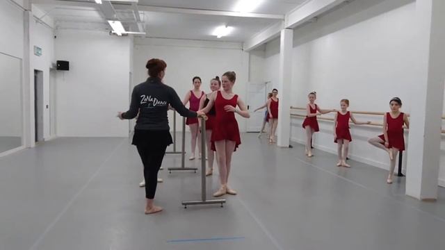 ZoNa Dance, Letterkenny смотреть онлайн