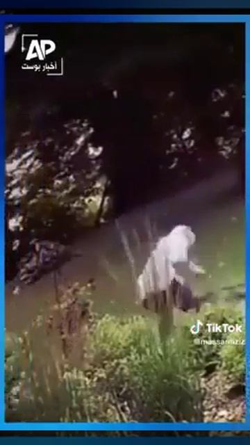قصة غريبة ثعلب يهاجم امراة смотреть онлайн