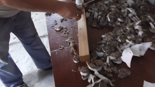 Тест ножей с Vanadis 4 от OWLKNIFE