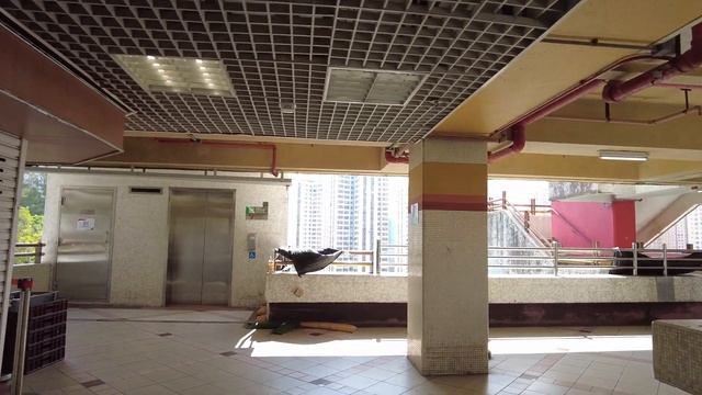 牛頭角 樂華商場 4K | Ngau Tau Kok - Lok Wah Shopping Centre | DJI Pocket 2 | 2023.07.07 смотреть онлайн