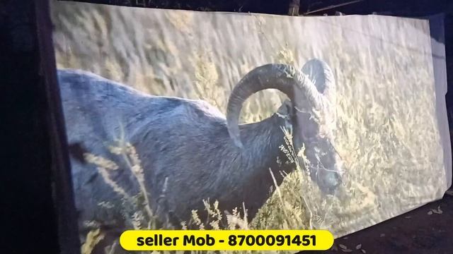 Tonzo LS-845 Projecter 200 inch test || Best Full HD Projector In 15000 || Projector Review In Hind смотреть онлайн