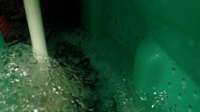 Обзор септика Эргобокс