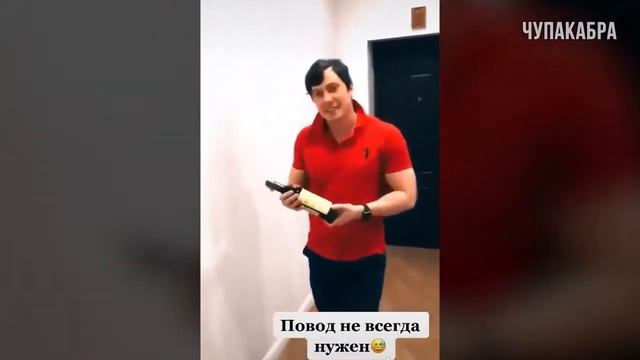 ШПОРК ЗАПОРК ЛУЧШИЕ ПРИКОЛЫ ИНТЕРНЕТА смотреть онлайн