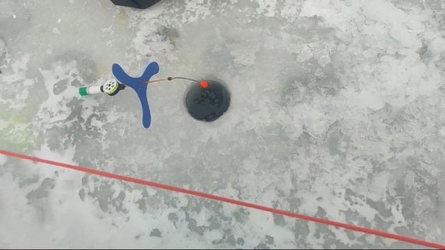 WhatsApp Video 2025-01-23 at 10.01.58 (1) смотреть онлайн