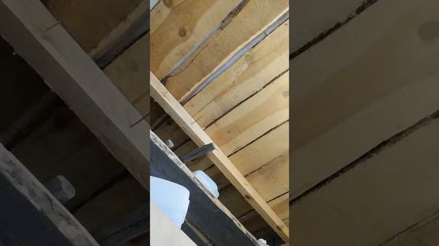 Первое видео где я показал лицо катаюсь с соседкой в тележке смотреть онлайн