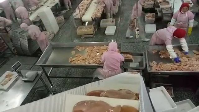 МУЛЬТИГОЛОВОЧНЫЙ КОМБИНАЦИОННЫЙ ВЕСОВОЙ ДОЗАТОР 14 ЛОТКОВ ФАСОВКИ ЛИПКИХ ПРОДУКТОВ, МЯСА смотреть онлайн