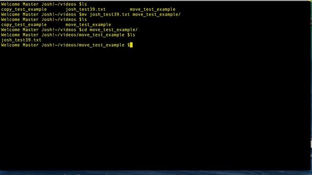 Learning Unix basic Commands: What's the difference between Copy and Move? смотреть онлайн