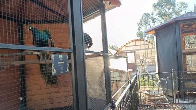 ИЗ САНКТ - ПЕТЕРБУРГА В СОЧИ.