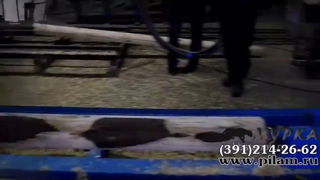 Купить цилиндровочный станок для тонкомера КБМ 200 с автоподачей смотреть онлайн